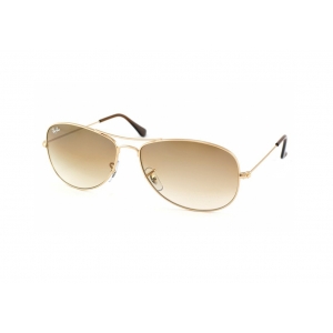 Ray-Ban Icons – Cockpit RB3362 001/51