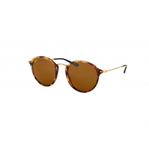 Ray-Ban Icons – Round Fleck RB2447 1160