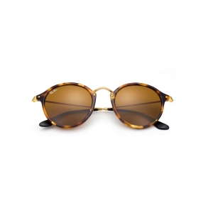 Ray-Ban Icons – Round Fleck RB2447 1160