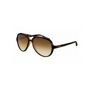 Ray-Ban Icons – Cats 5000 RB4125 710/51