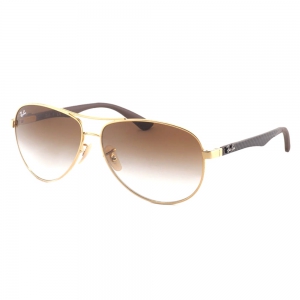 Ray-Ban RB8313 001/51