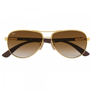 Ray-Ban RB8313 001/51