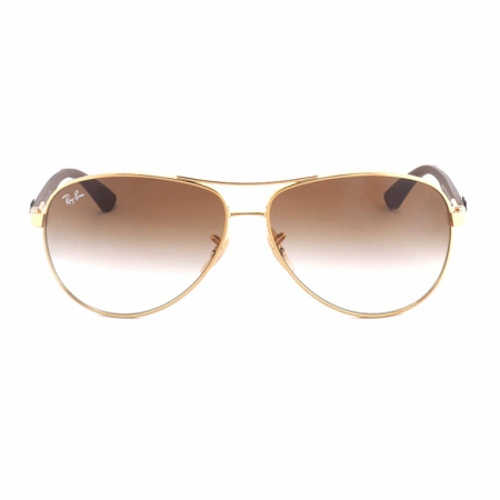 Ray-Ban RB8313 001/51